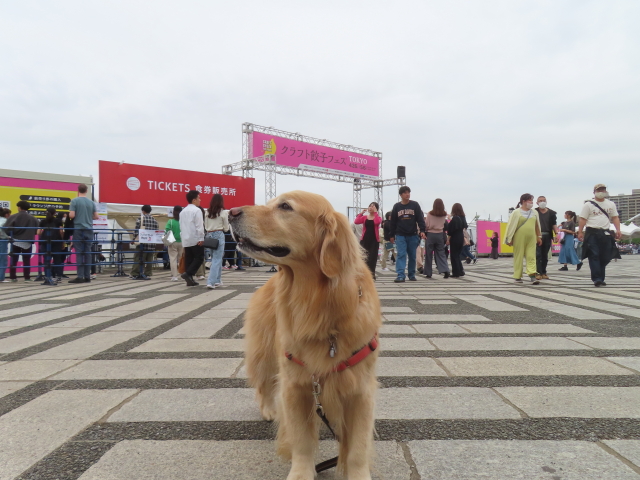 ファイル 8768-1.jpg