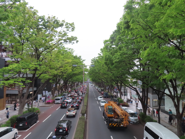 ファイル 8768-5.jpg