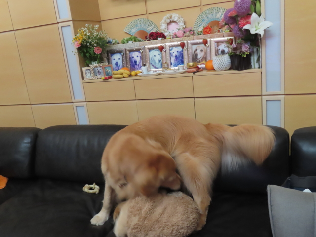 ファイル 8769-1.jpg