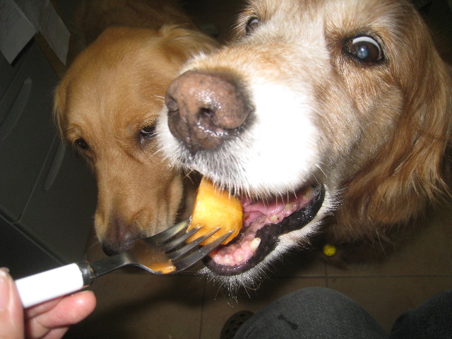 ファイル 877-1.jpg