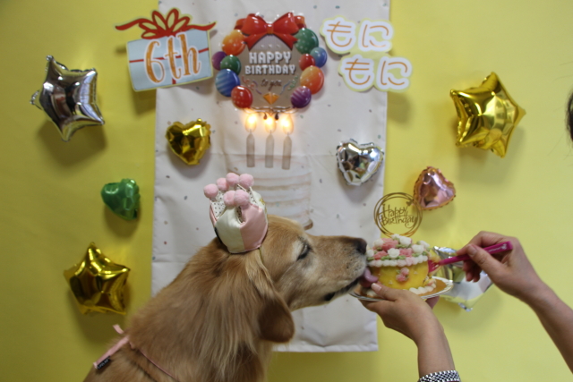 ファイル 8770-1.jpg