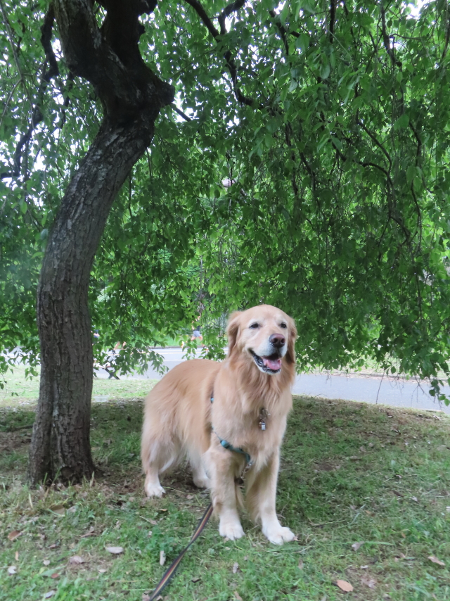 ファイル 8771-4.jpg