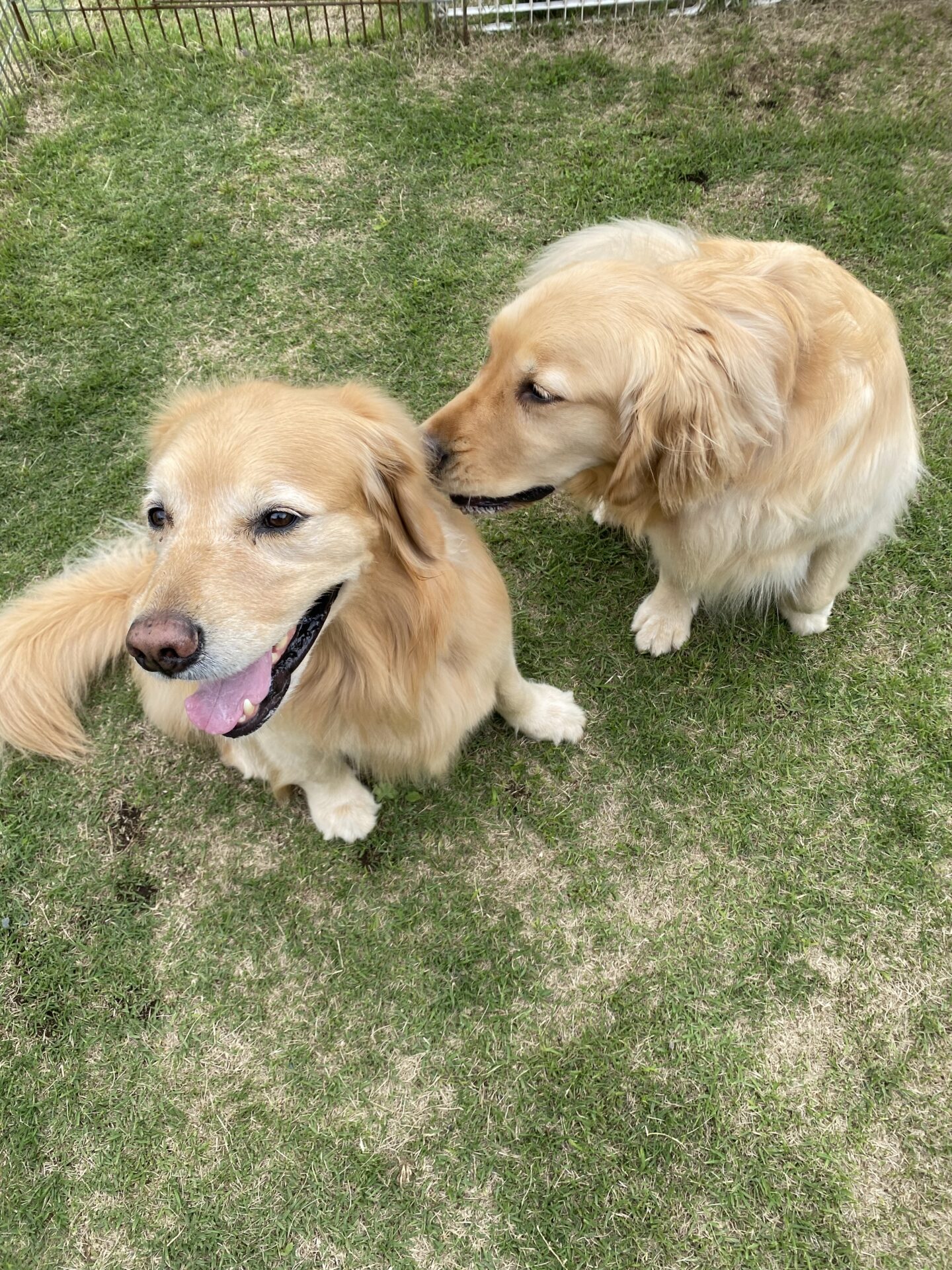 ファイル 8776-3.jpeg