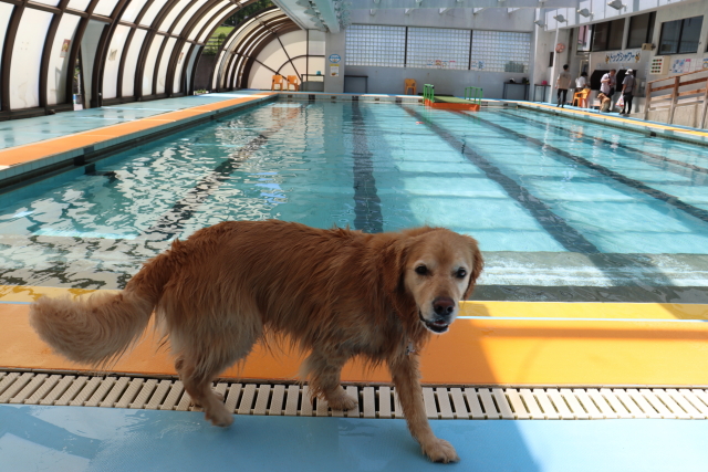 ファイル 8777-4.jpg