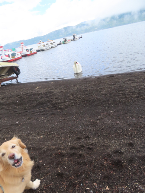 ファイル 8779-2.jpg