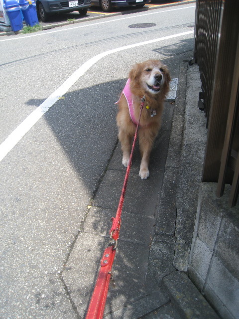 ファイル 878-1.jpg