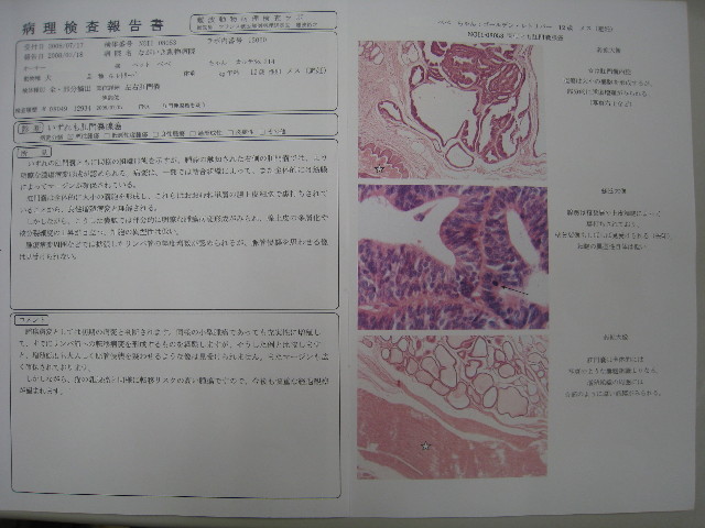 ファイル 878-2.jpg