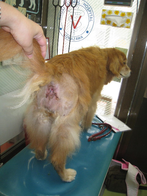 ファイル 878-5.jpg