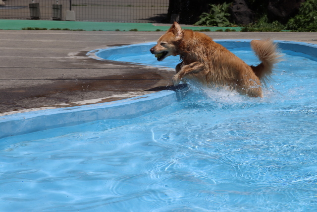 ファイル 8780-1.jpg