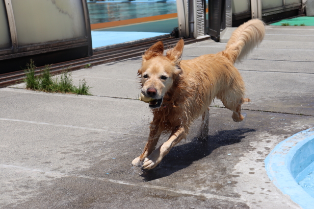 ファイル 8780-2.jpg