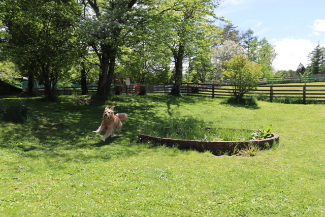 ファイル 8780-3.jpg