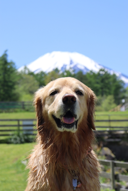 ファイル 8780-5.jpg