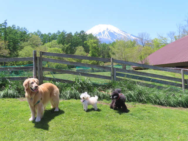 ファイル 8785-2.jpg