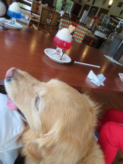 ファイル 8785-3.jpg