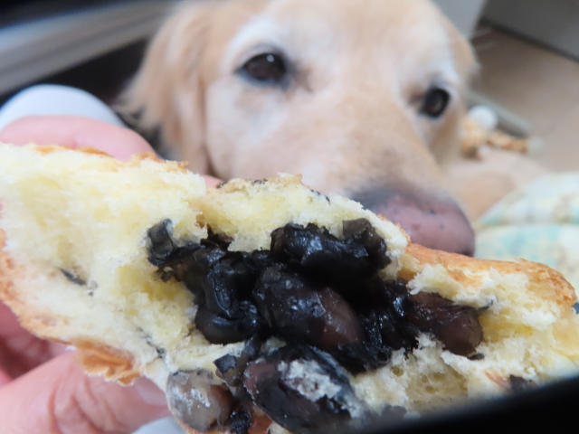 ファイル 8785-4.jpg