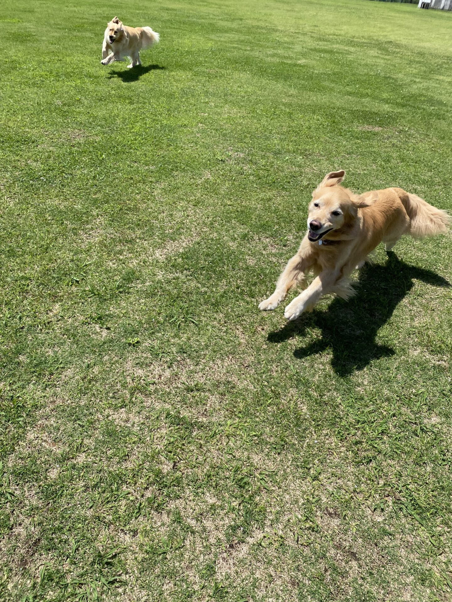 ファイル 8786-1.jpeg