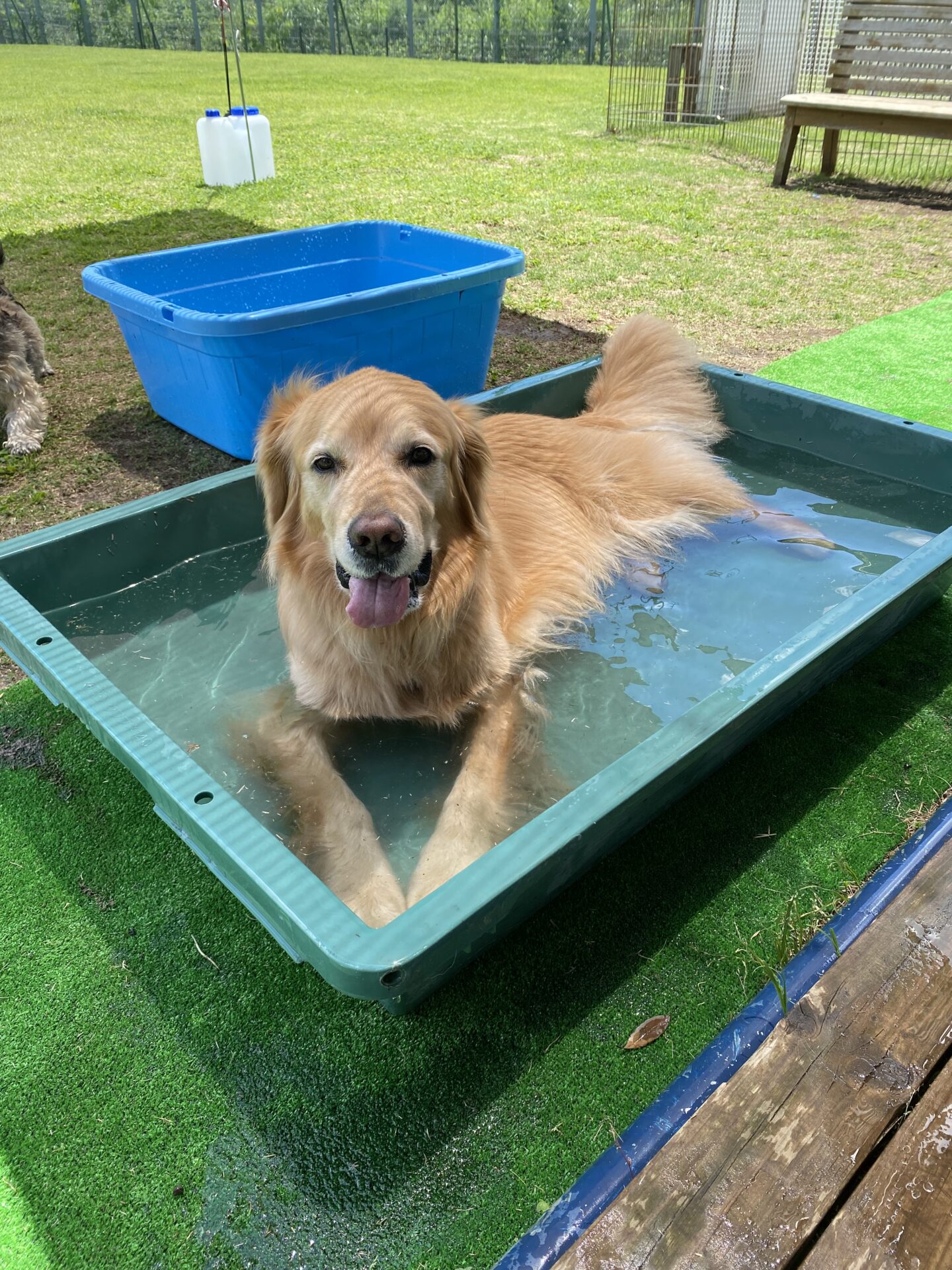 ファイル 8786-3.jpeg