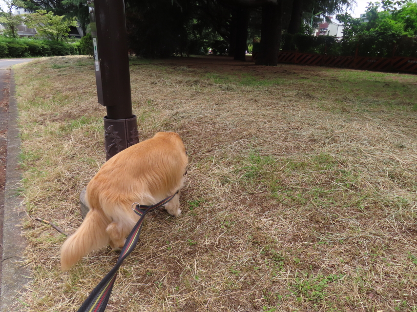 ファイル 8788-2.jpg