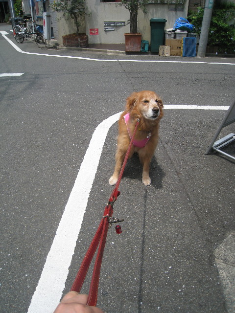 ファイル 879-1.jpg