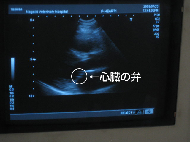 ファイル 879-2.jpg