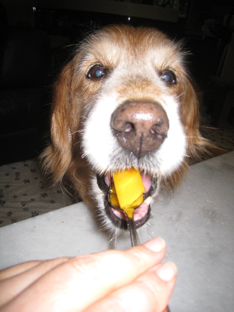 ファイル 879-5.jpg