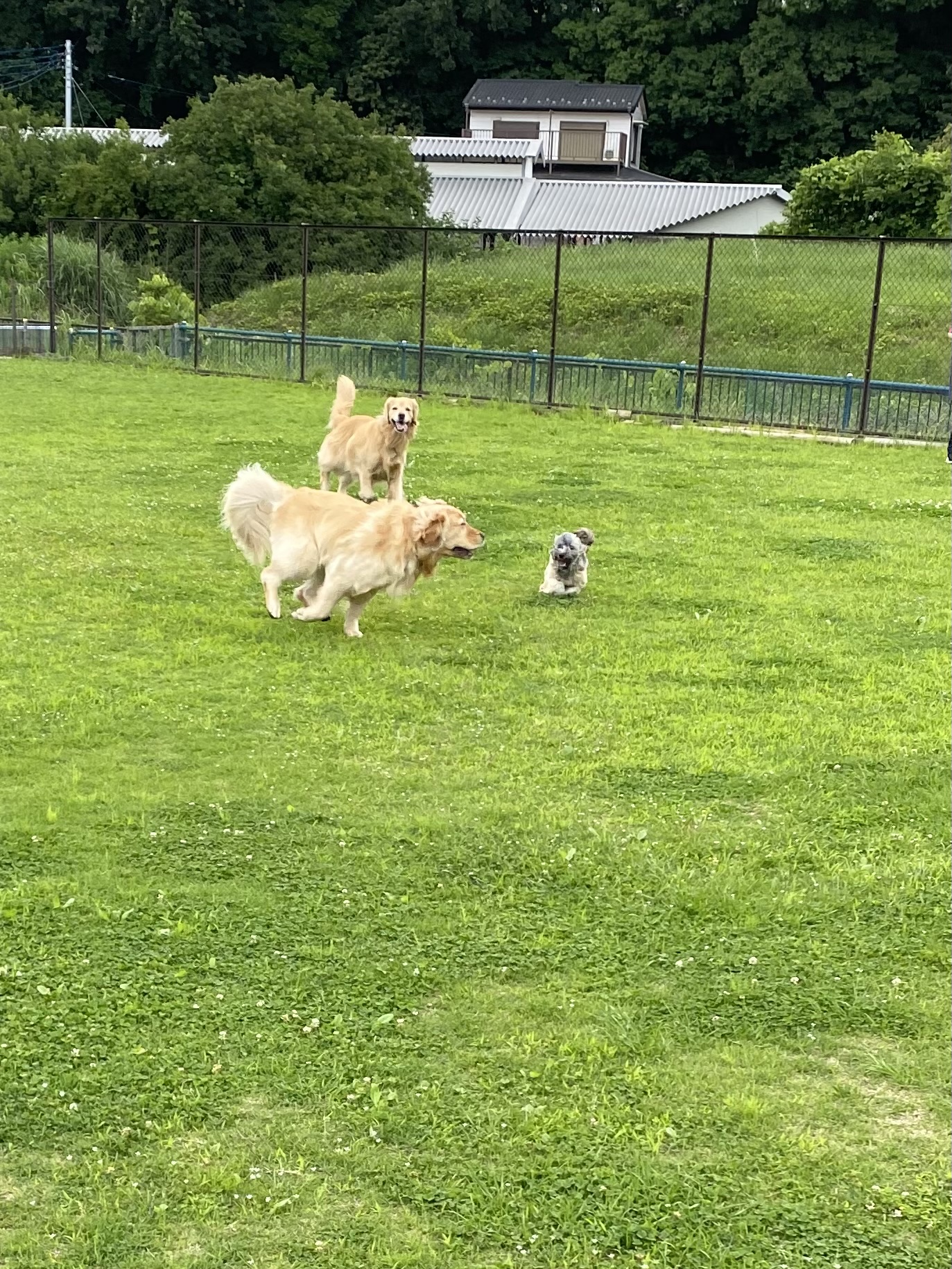 ファイル 8790-2.jpeg