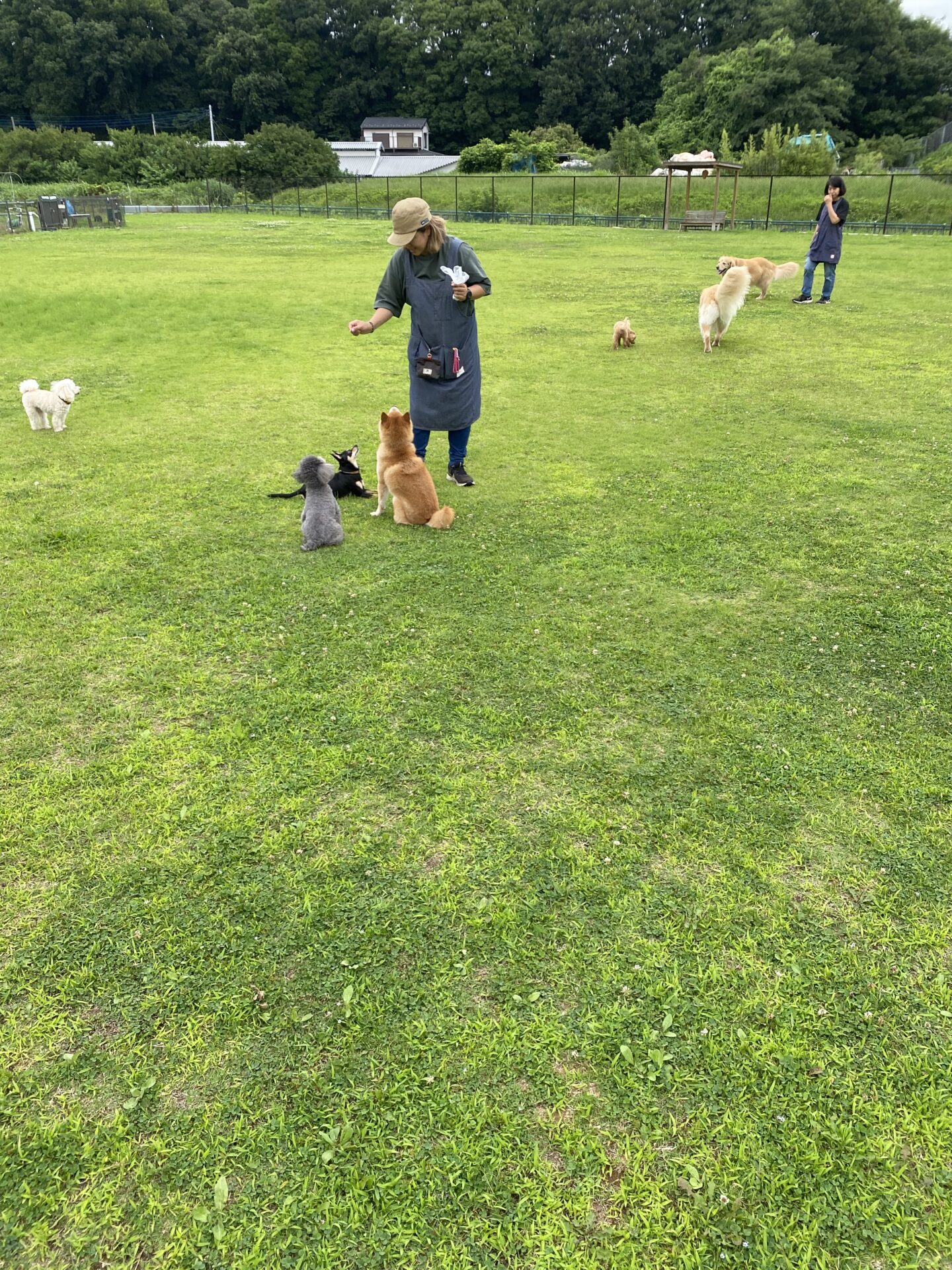 ファイル 8791-4.jpeg