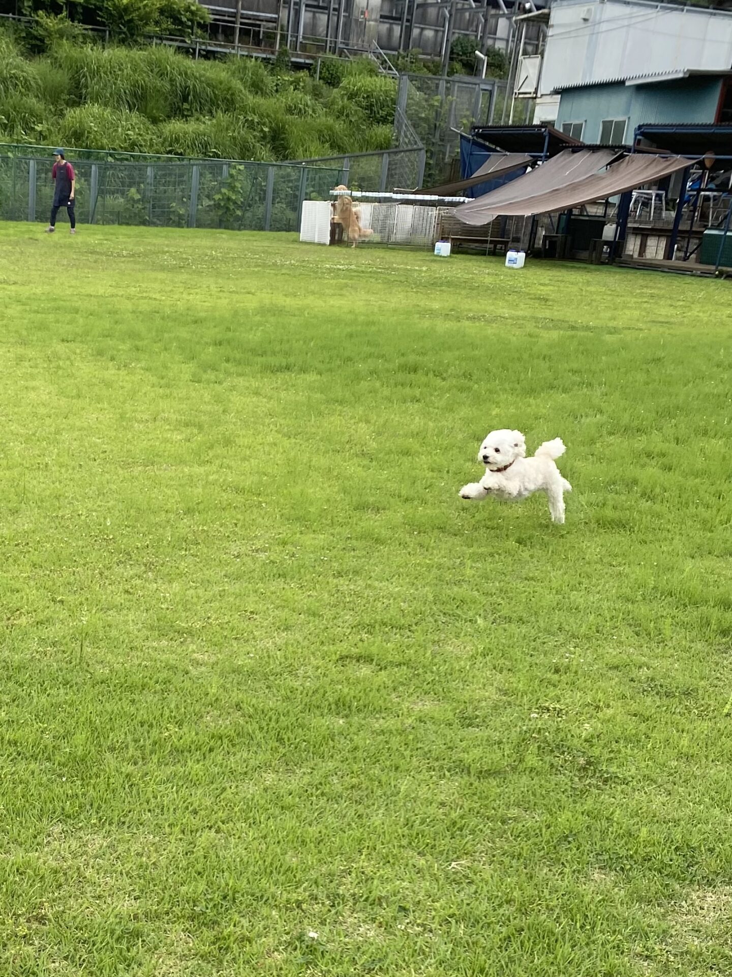 ファイル 8791-5.jpeg