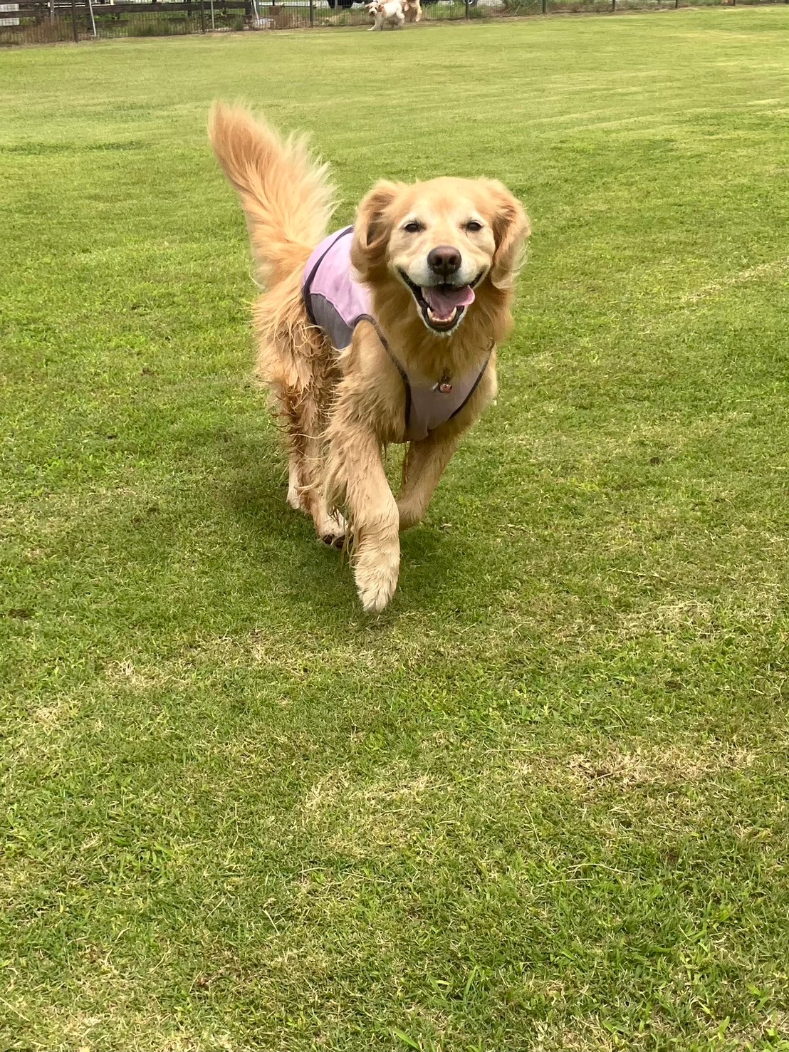 ファイル 8795-1.jpeg