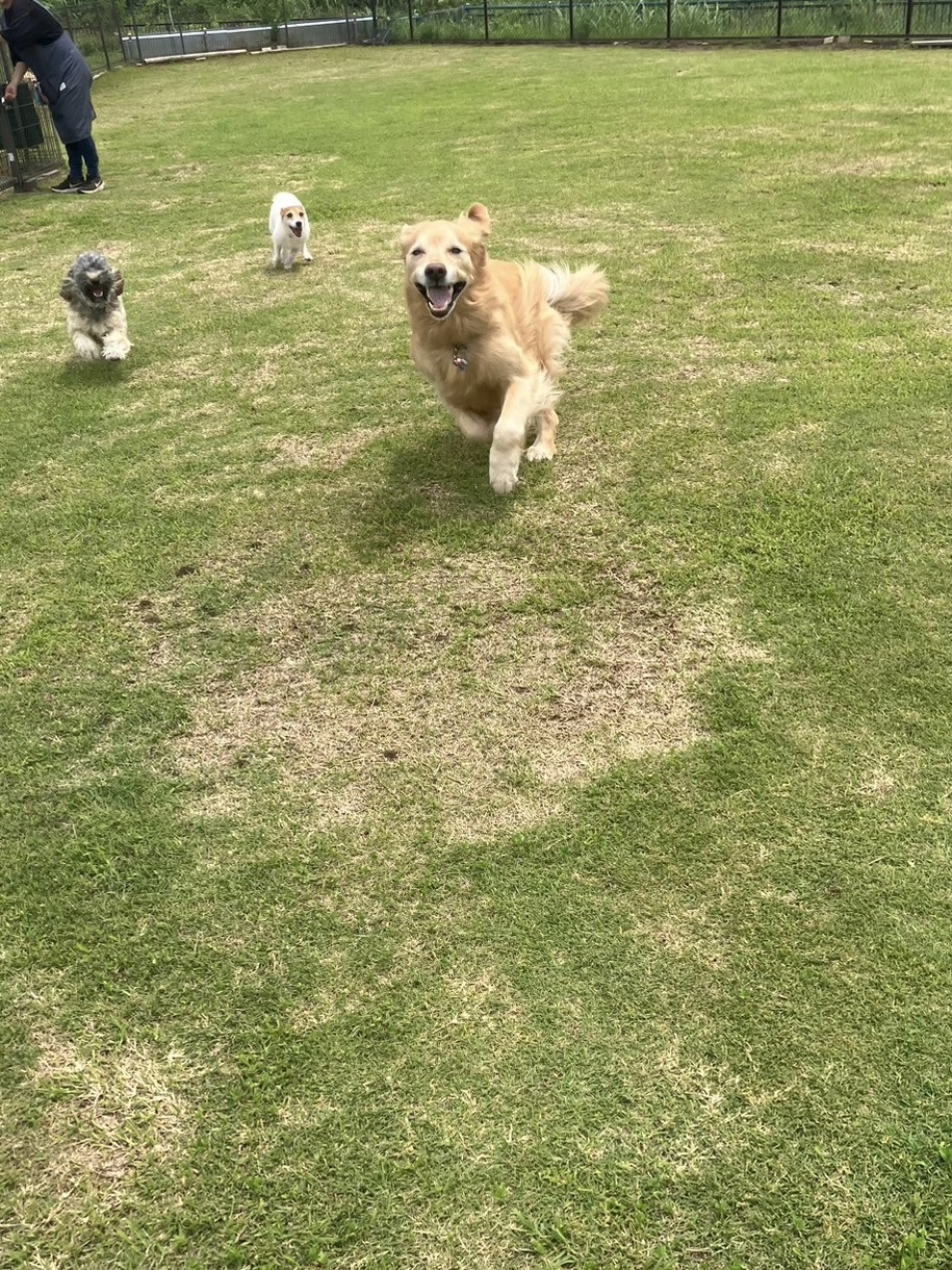 ファイル 8795-2.jpeg