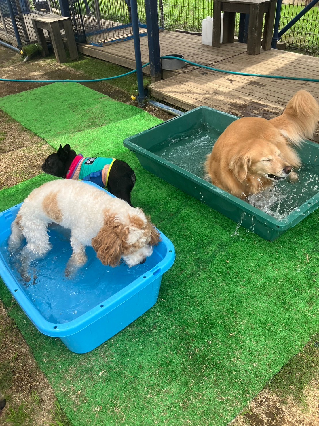 ファイル 8795-4.jpeg