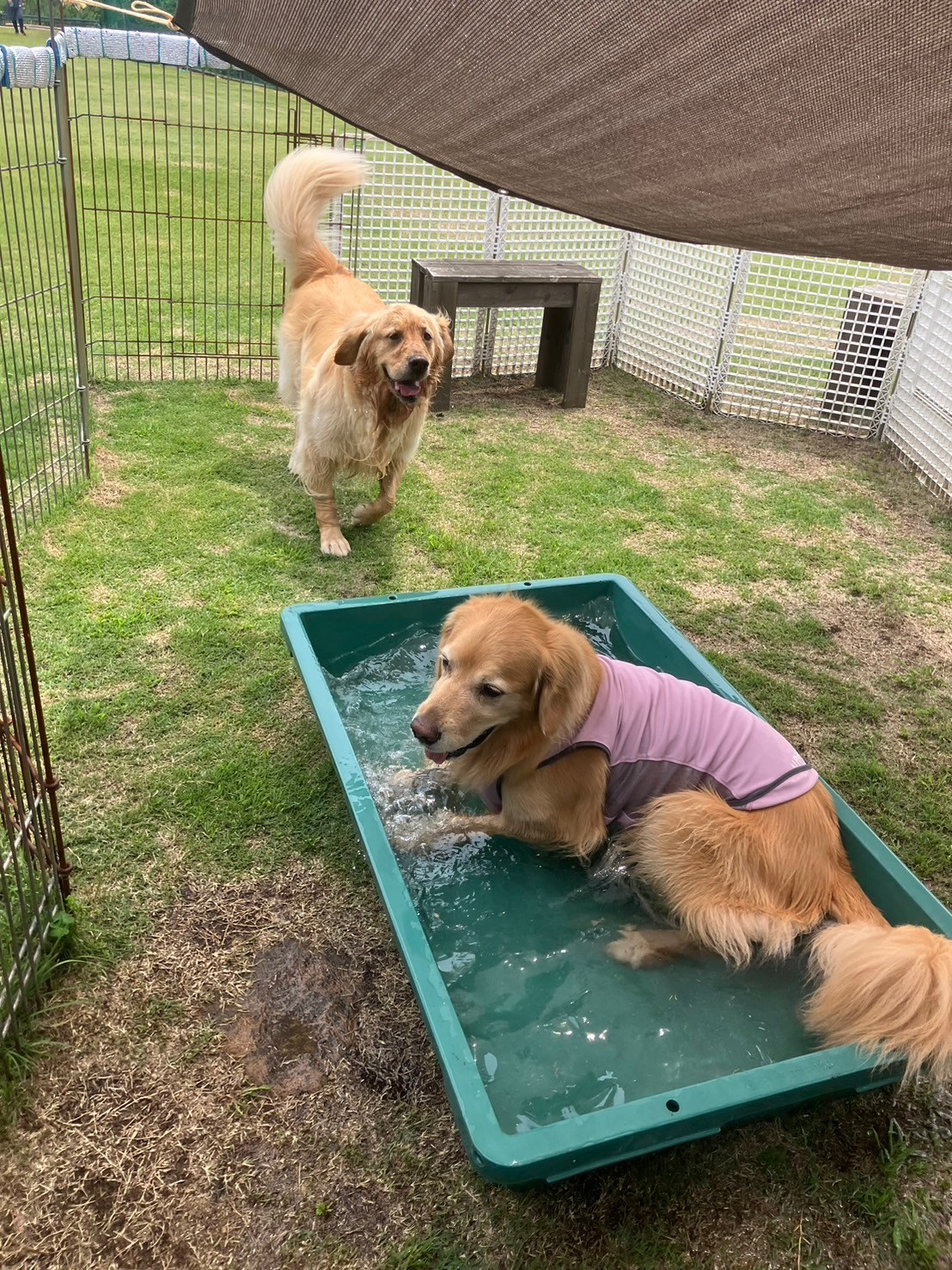 ファイル 8795-5.jpeg