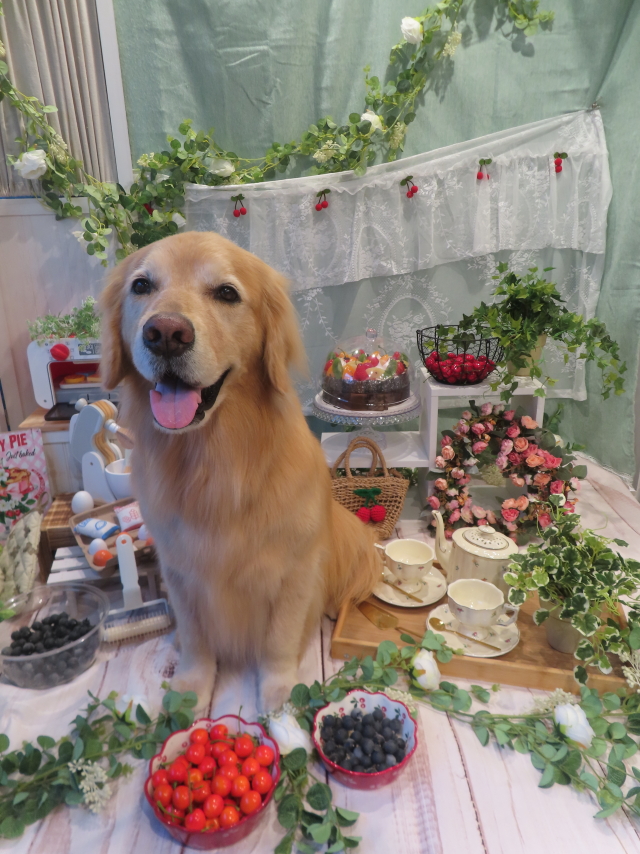 ファイル 8797-1.jpg