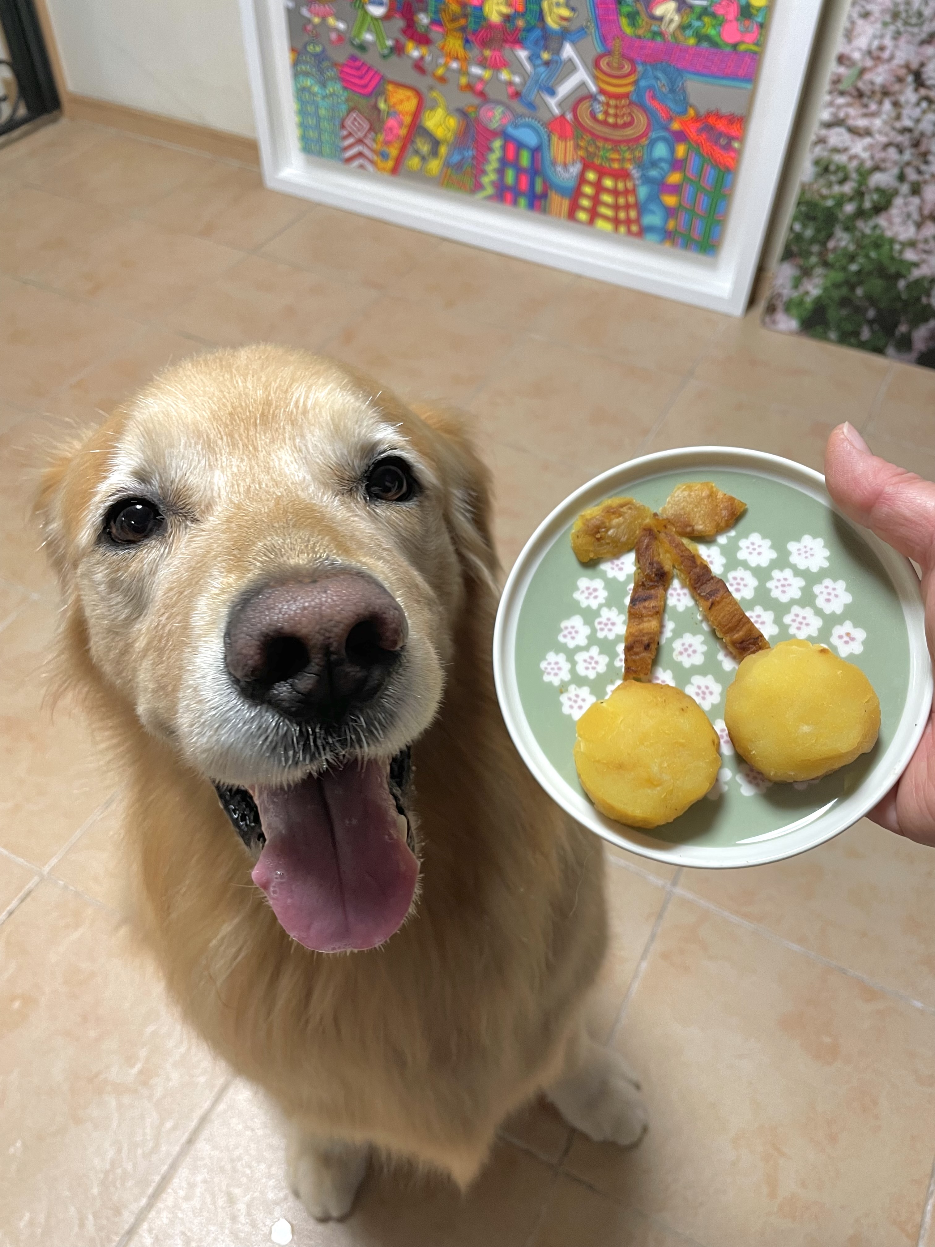 ファイル 8797-3.jpg