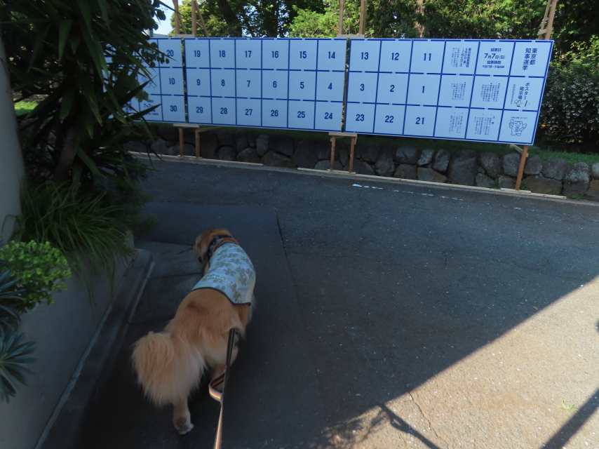 ファイル 8797-4.jpg