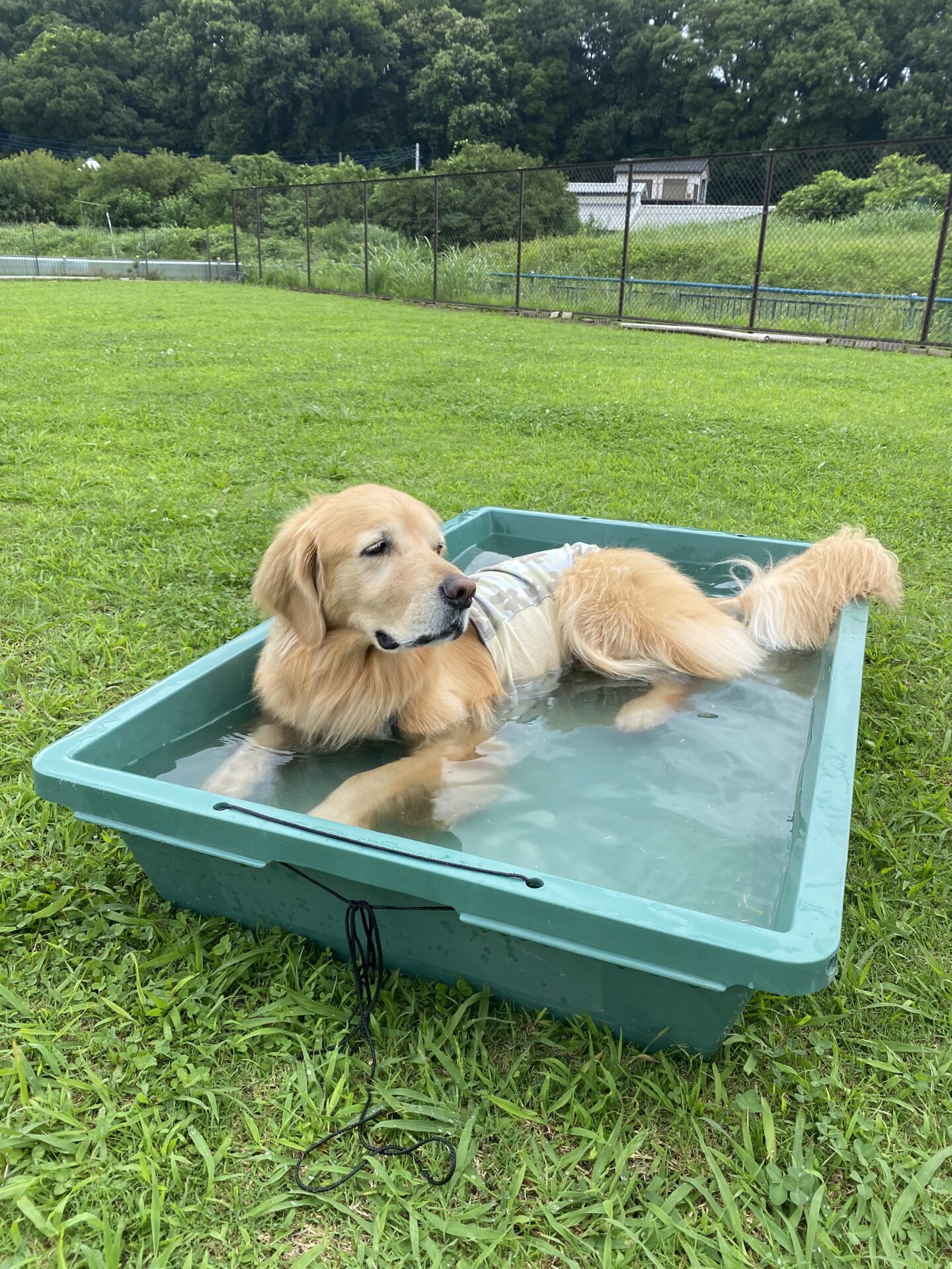 ファイル 8798-3.jpeg