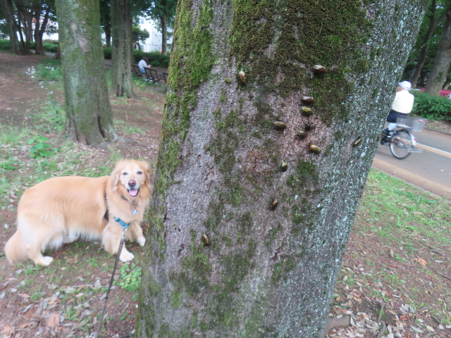 ファイル 8799-5.jpg