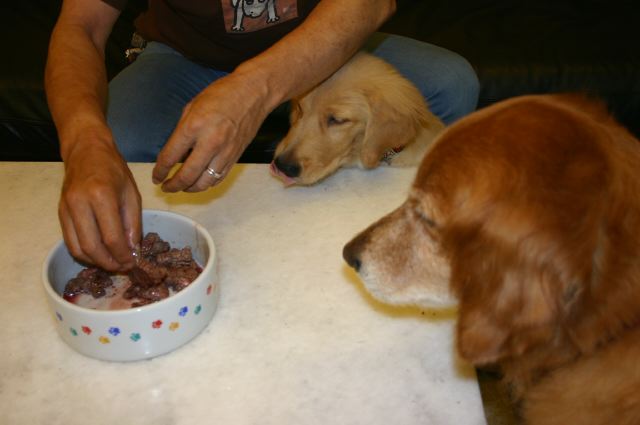 ファイル 88-1.jpg