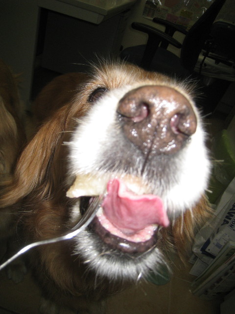 ファイル 880-4.jpg