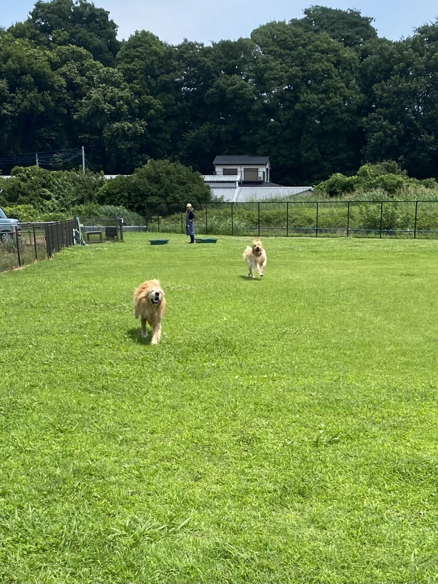 ファイル 8801-1.jpeg