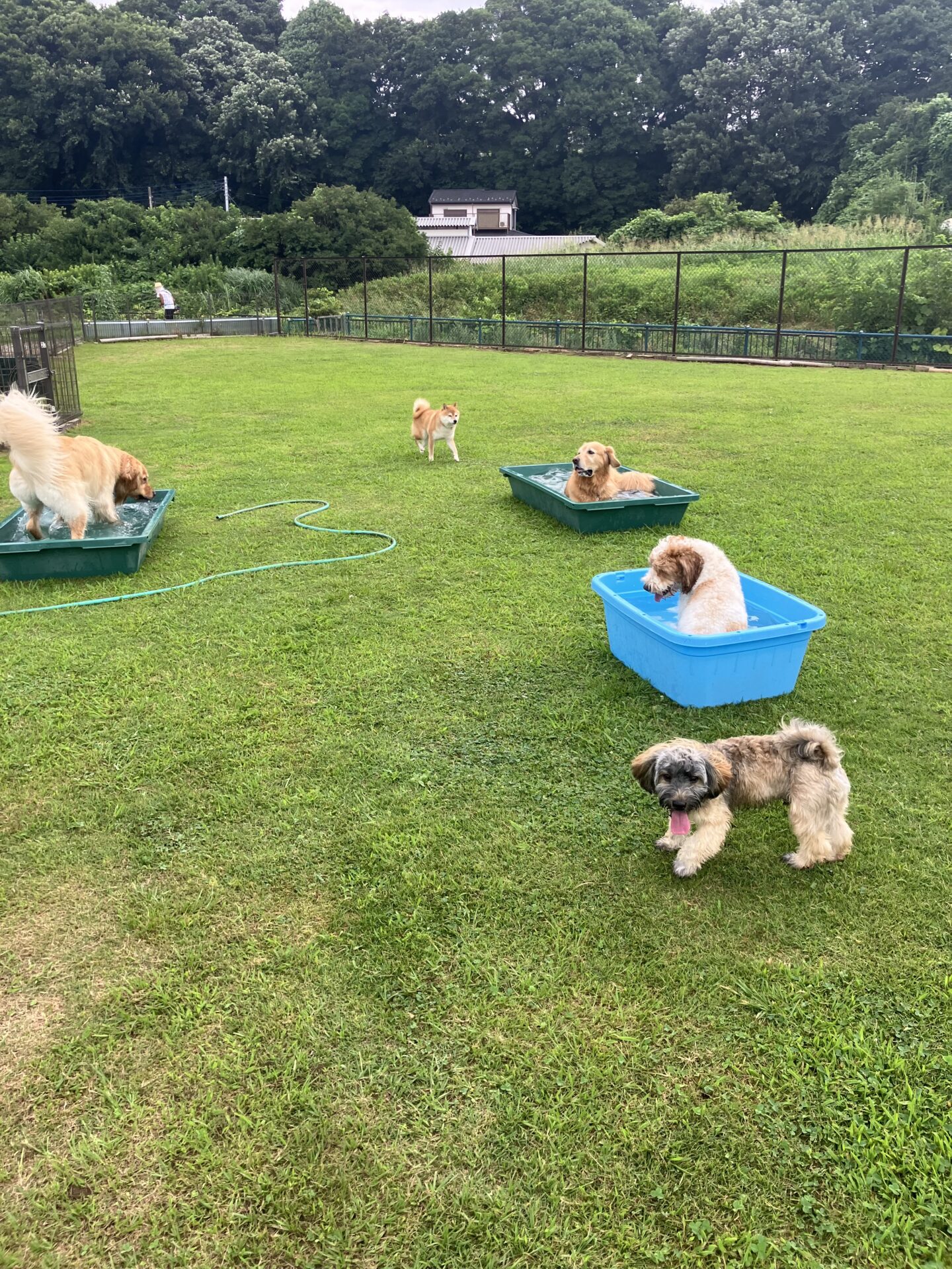 ファイル 8805-3.jpeg