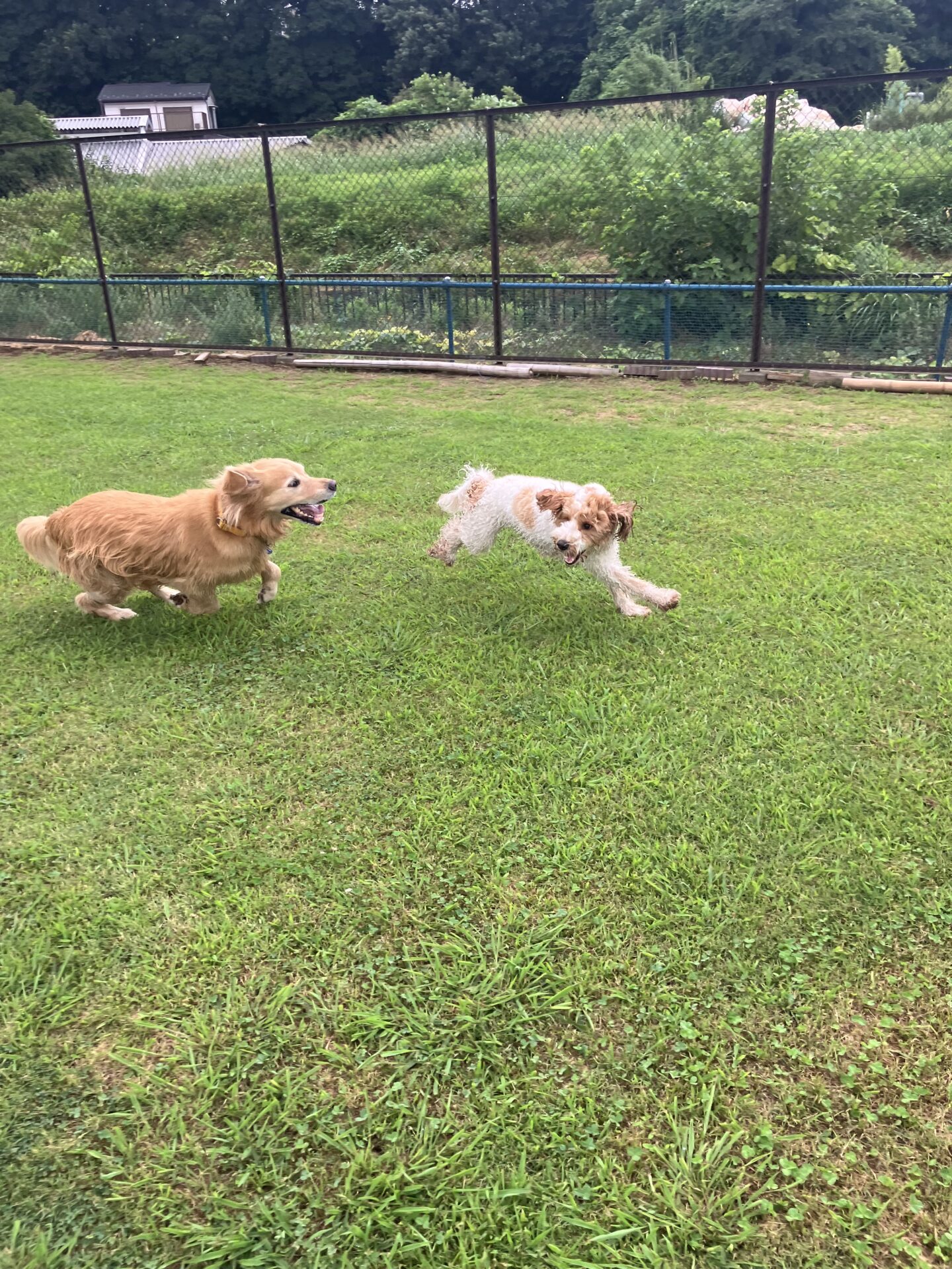 ファイル 8805-4.jpeg