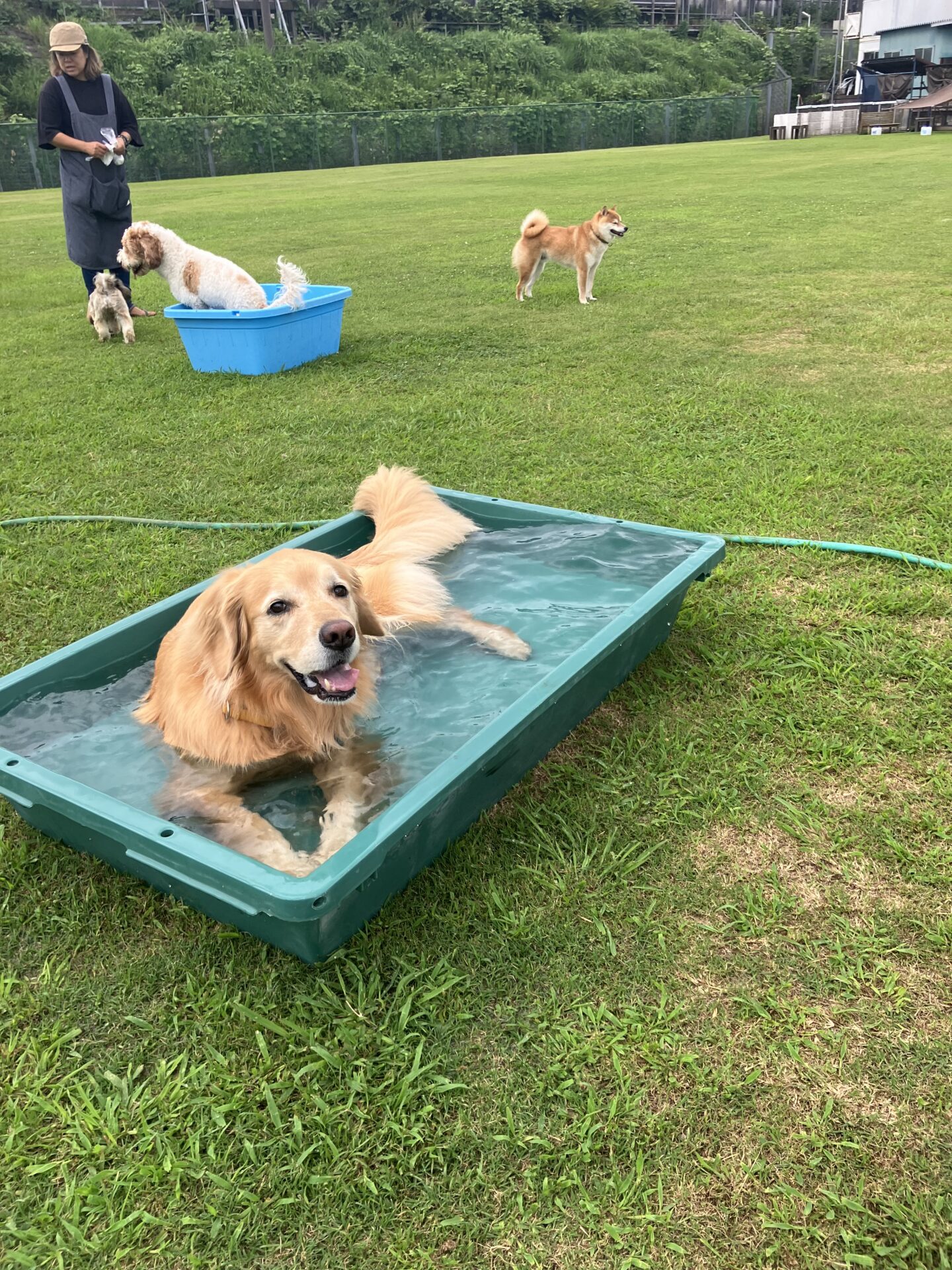 ファイル 8805-5.jpeg