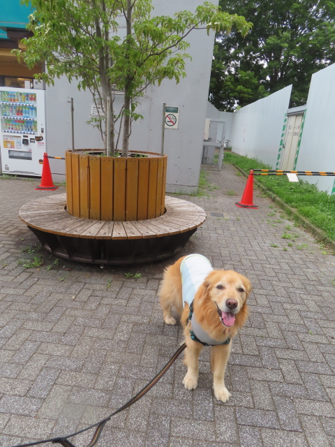 ファイル 8806-4.jpg