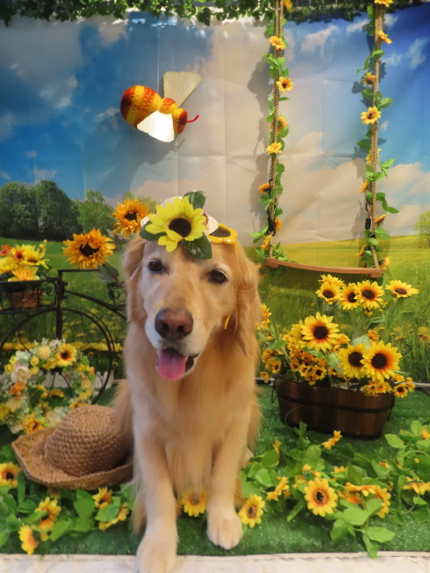 ファイル 8807-1.jpg