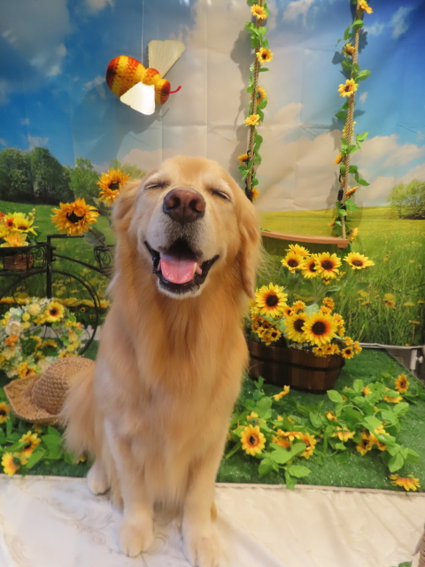 ファイル 8807-2.jpg