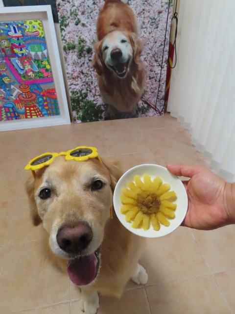 ファイル 8807-3.jpg