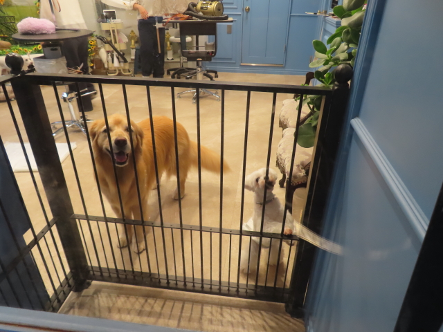 ファイル 8807-5.jpg