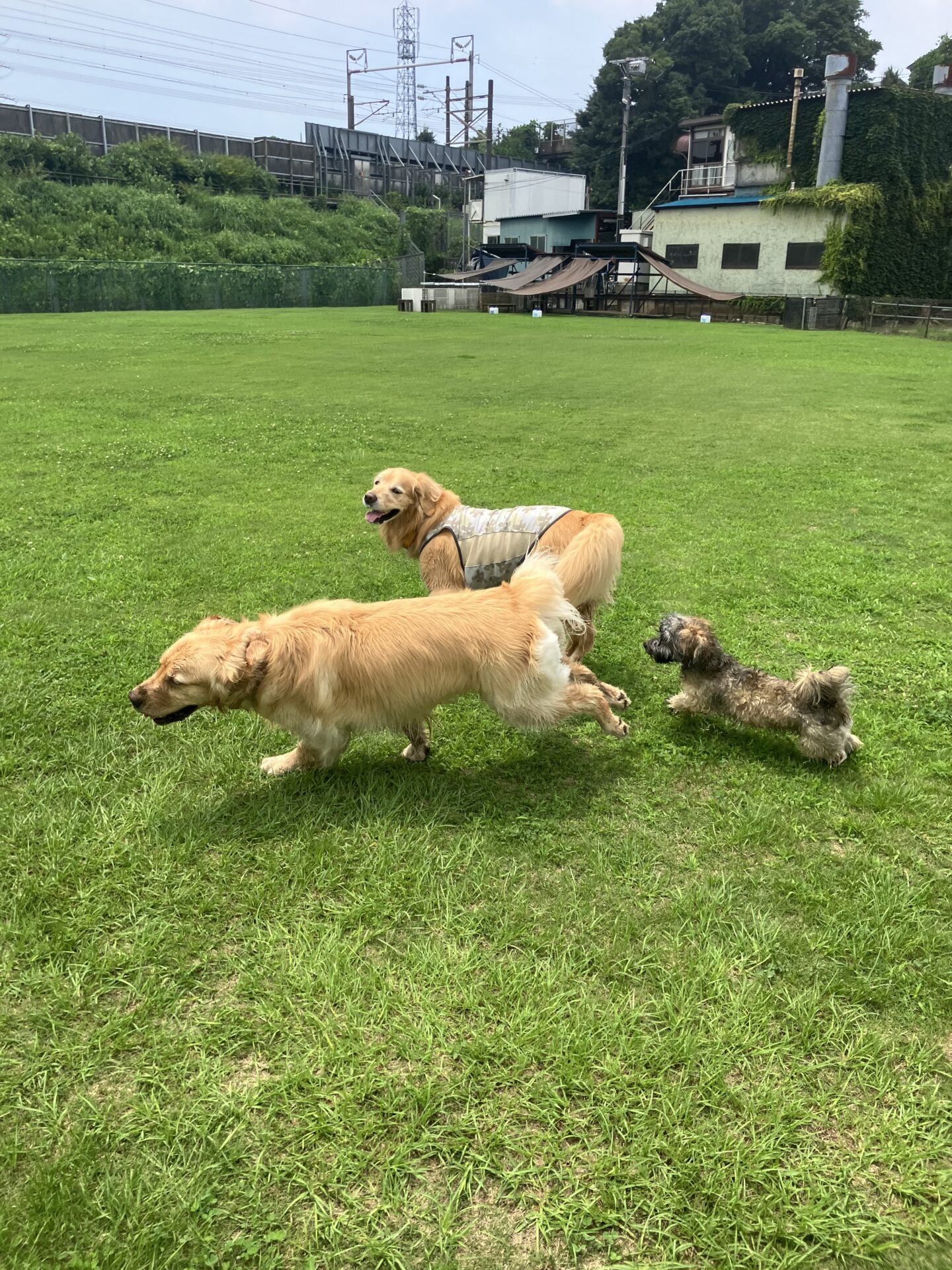 ファイル 8808-1.jpeg