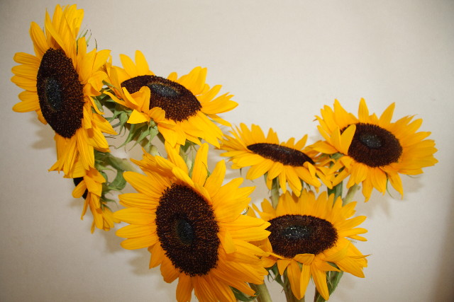 ファイル 881-5.jpg